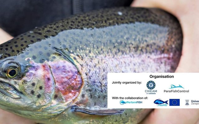Join MedAIDs course on parasite management in fish