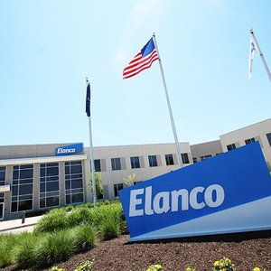 Elanco restructures, eliminates 900 positions