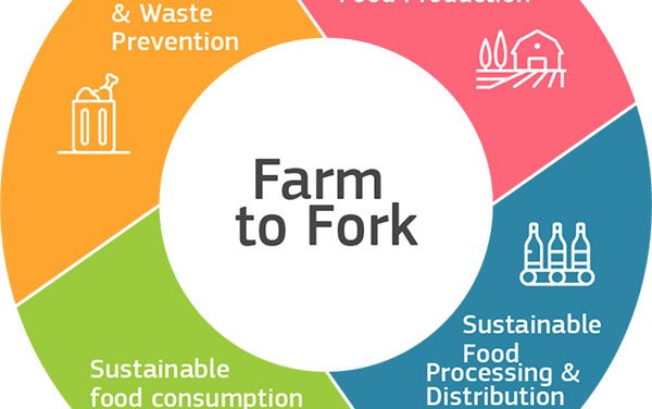 EU Farm to Fork and Biodiversity strategies for sustainable food systems