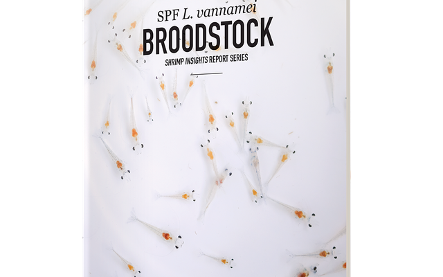 SPF L. vannamei Broodstock report