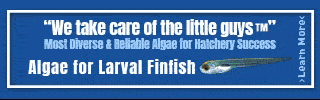 HFM_Leaderboard-0 banner
