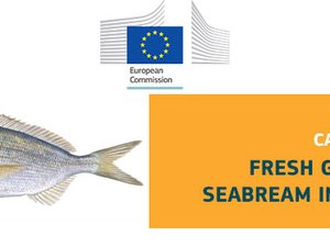 Gilthead seabream price structure analysis in the EU