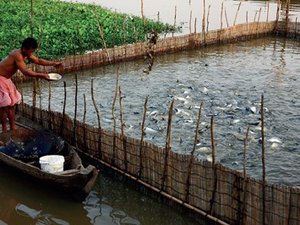 Aquaculture waste-to-power generation project in Vietnam