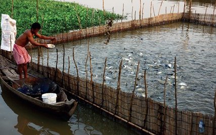 Aquaculture waste-to-power generation project in Vietnam