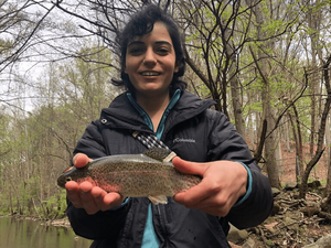 US research project to improve trout filet quality through genomic selection