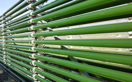 Spirulina intensive culture facility targets aquaculture industry