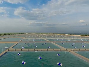 Indonesia to establish aquaculture villages