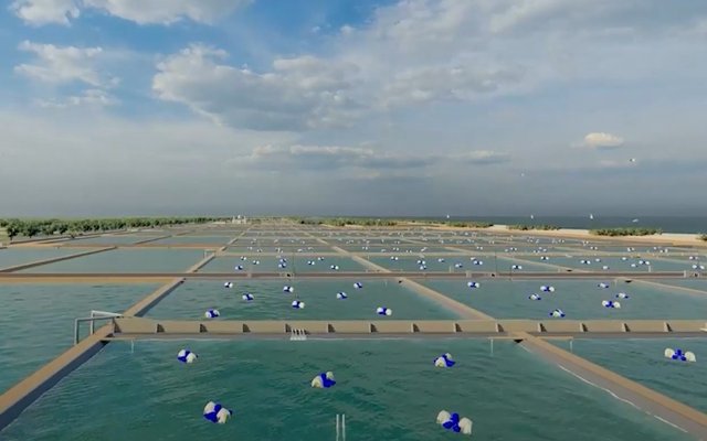 Indonesia to establish aquaculture villages
