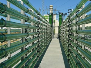 AlgaEnergy continues with its internationalization plan