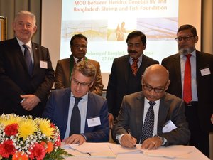 Hendrix Genetics signs MoU to enhance black tiger shrimp production in Bangladesh