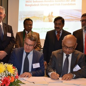 Hendrix Genetics signs MoU to enhance black tiger shrimp production in Bangladesh