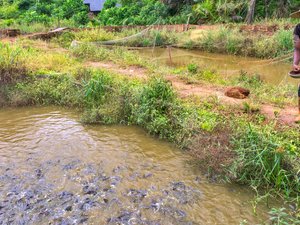 Norway commits funds to IFAD to develop aquaculture projects in East Africa