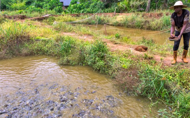 Norway commits funds to IFAD to develop aquaculture projects in East Africa