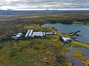StofnFiskur rebrands as Benchmark Genetics Iceland