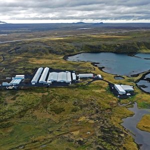 StofnFiskur rebrands as Benchmark Genetics Iceland