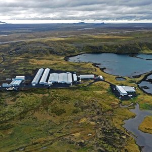 StofnFiskur rebrands as Benchmark Genetics Iceland