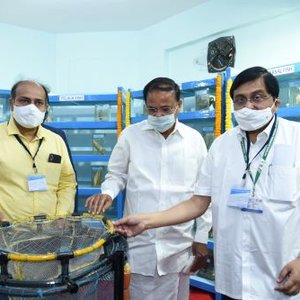 India succeeds in seed production of Johns snapper