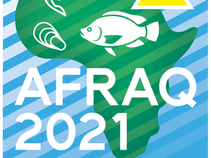 The success story of aquaculture in Egypt: Why hosting the first Aquaculture Africa Conference