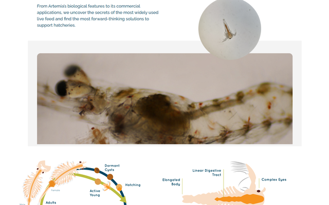 INVE Aquaculture unveils new Artemia knowledge hub