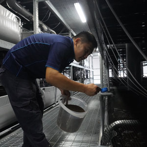 Grobest Group, Universal Aquaculture to develop worlds first functional performance shrimp feed for RAS