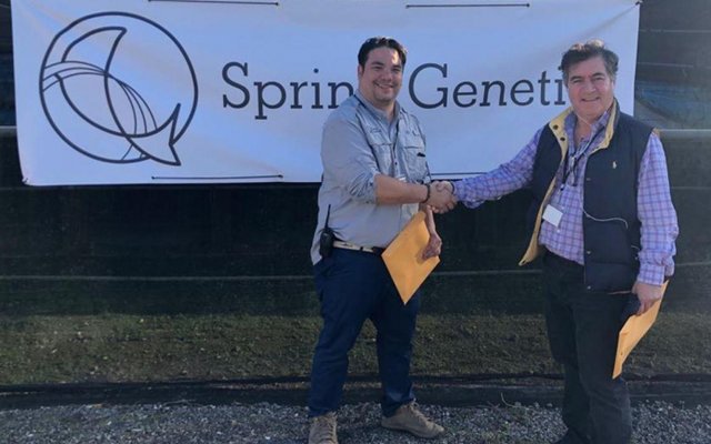 Spring Genetics partners with Colombias largest producer of tilapia