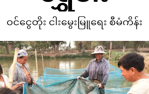 Mobile app connects Myanmar fish farmers with aquaculture information