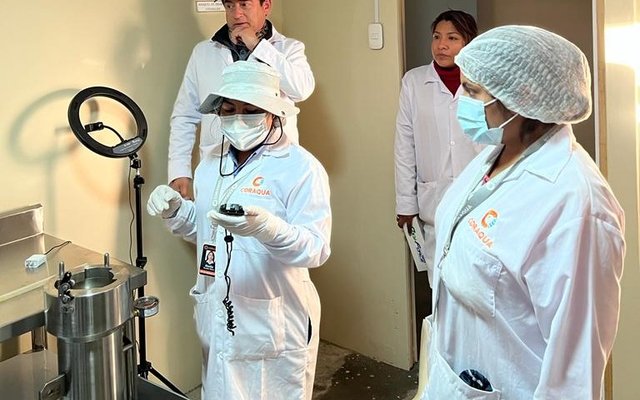 Peru produces its first triploid trout eggs