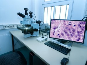 Pathovet enters the Brazilian tilapia market