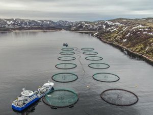 Russia plans more than 140 new hatcheries