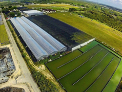 aquaManager partners with Spring Genetics to supply hatchery software