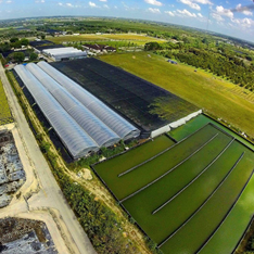 aquaManager partners with Spring Genetics to supply hatchery software
