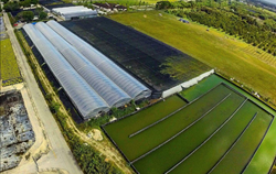 aquaManager partners with Spring Genetics to supply hatchery software