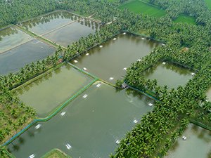India inaugurates electronic marketplace for aquaculture farmers