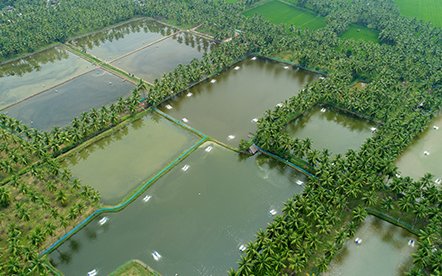India inaugurates electronic marketplace for aquaculture farmers