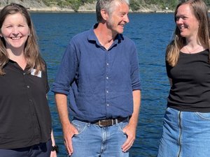 Gene-editing to improve salmon resistance to sea lice