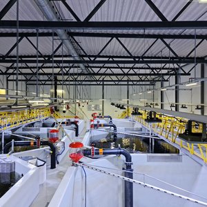 Pure Salmon Kaldness completes hatchery for Norwegian smolt producer