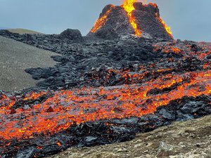 Volcano erupts close to Benchmark Genetics facilities in Iceland