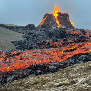 Volcano erupts close to Benchmark Genetics facilities in Iceland