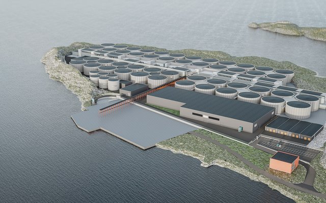 Seafood giant invests in Salmon Evolution