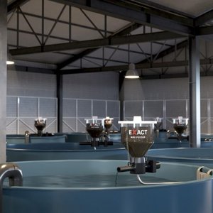 New feeding solutions for fish hatcheries