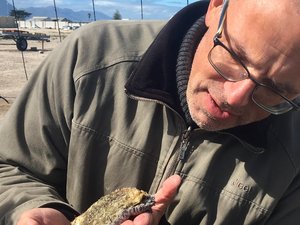 Benchmark Genetics strengthens its focus on consultancy services for external breeding programs