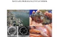 Tilapia lake virus disease strategy manual