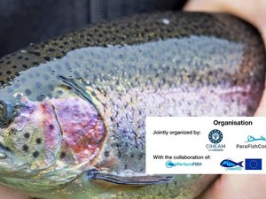 Join MedAIDs course on parasite management in fish