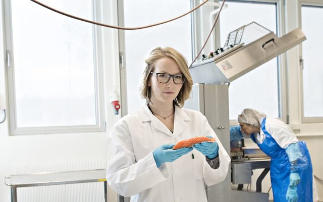 Can omega-3 in salmon be increased though breeding?