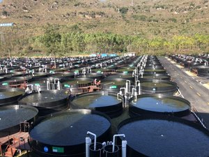 Nocera introduces next-generation RAS in Taiwan
