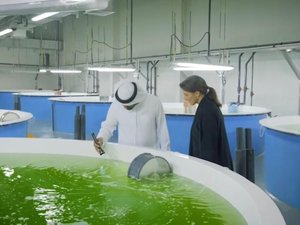 Emirati hatchery delivers 600,000 fish fingerlings to aquaculture companies in UAE