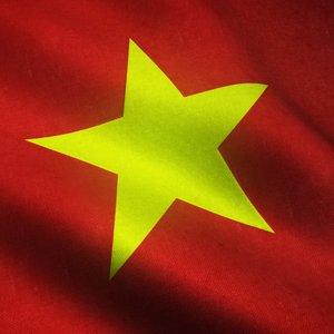 Vietnam to upgrade shrimp hatcheries in Mekong Delta