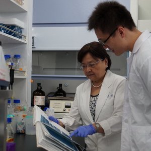Taiwanese shrimp disease researcher wins OIE award