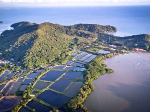 BAP releases updated farm standard
