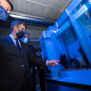 Nueva Pescanova reaches fifth generation of captive-grown octopus